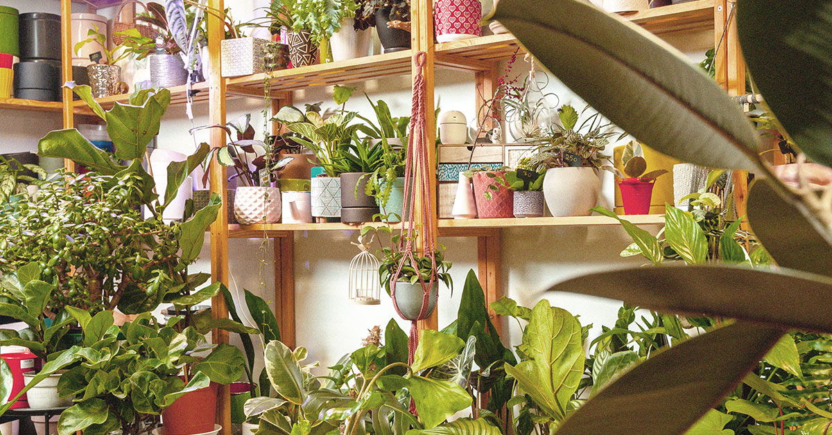 <p>Accedé a préstamos Pym exclusivos</p>
